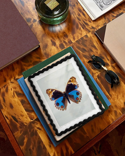 Blue Pansy (Junonia orithya)