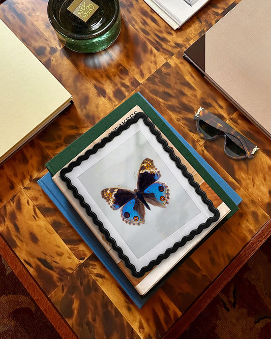 Blue Pansy (Junonia orithya)