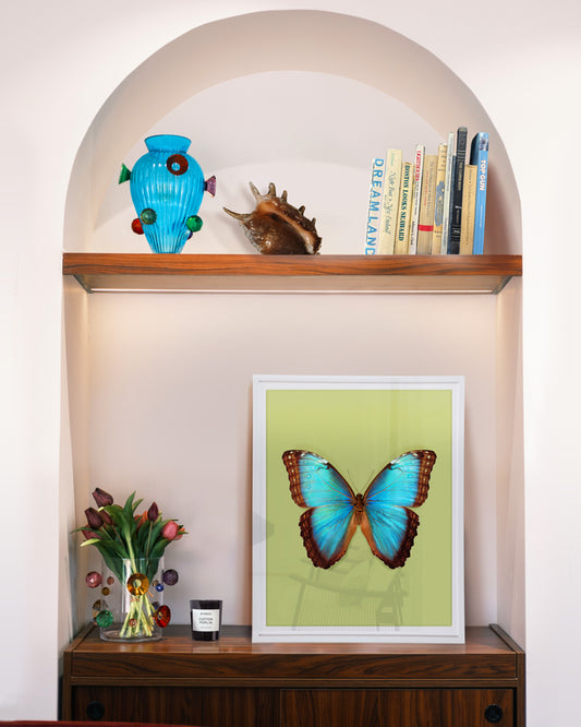 Brilliant Blue (Morpho peleides)