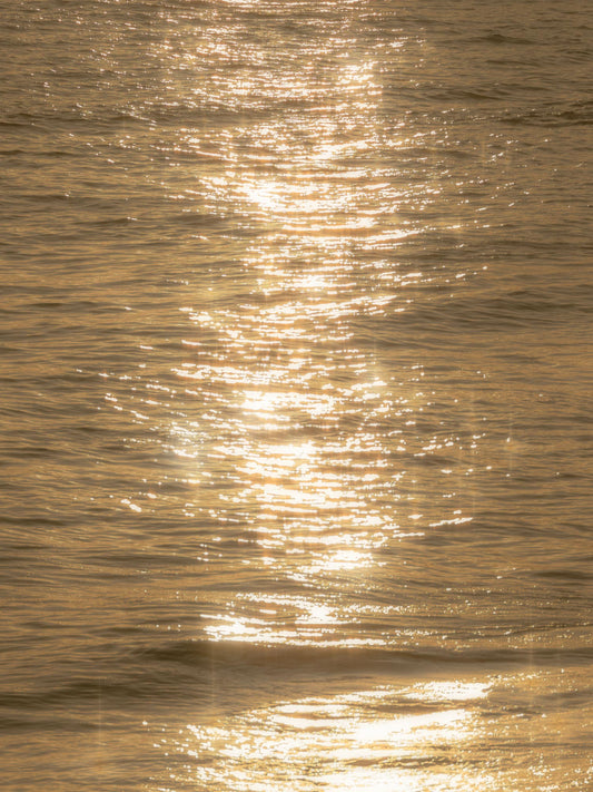 Reflections in Burnt Orange