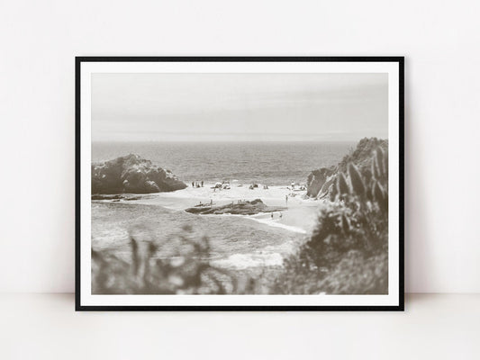 Coastal Kodak Brown I