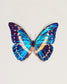 Cobalt (Morpho cypris)