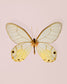 Amber (Haetera piera)
