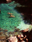 Bagni Swimming in Green I