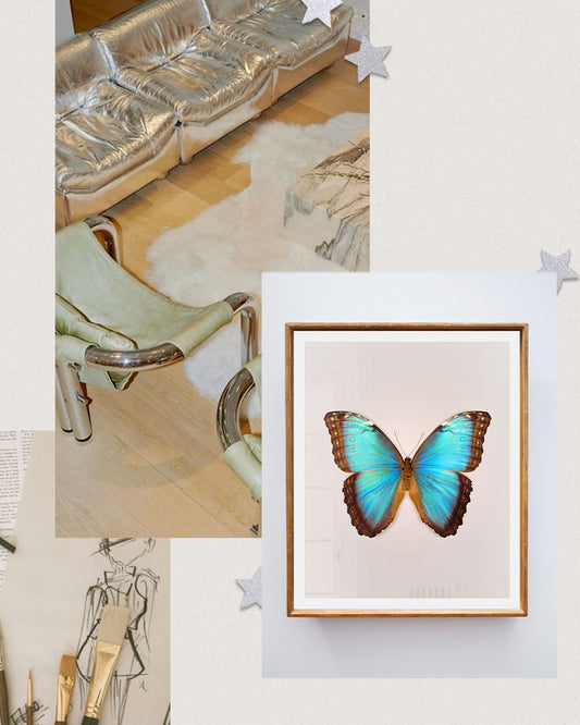 Brilliant Blue (Morpho peleides)