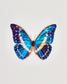 Cobalt (Morpho Cypris)