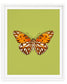 Passion (Gulf Fritillary)