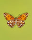 Passion (Gulf Fritillary)