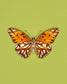 Passion (Gulf Fritillary)