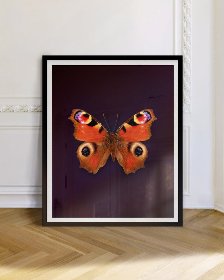 Peacock (Aglais Io)