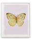 Sulphur (Phoebis agarithe)
