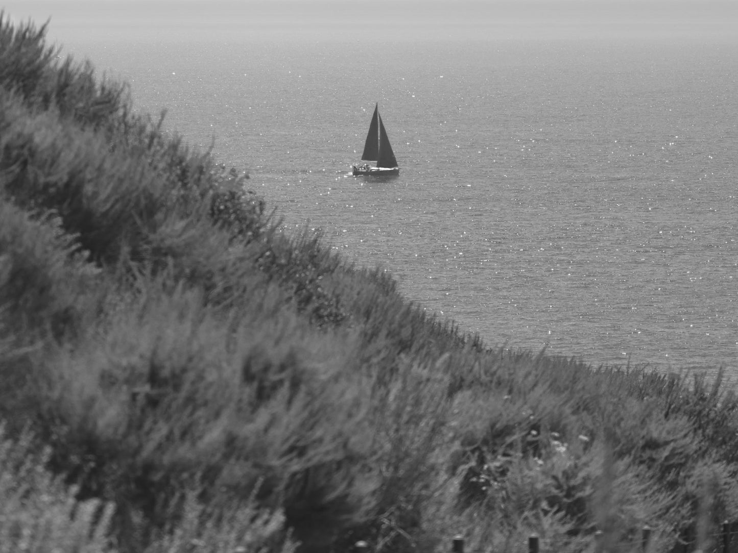 Hilltop Pacific Sailing