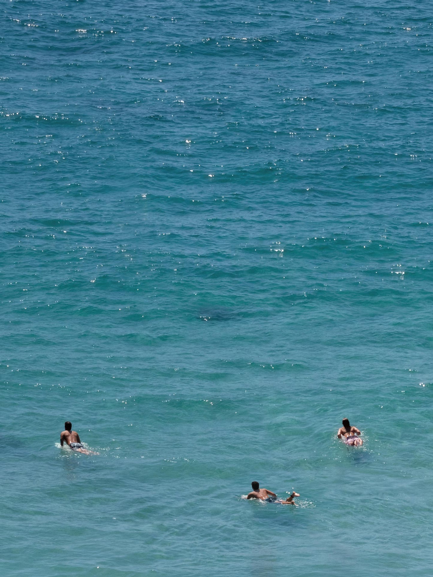 Three Dana Surfers